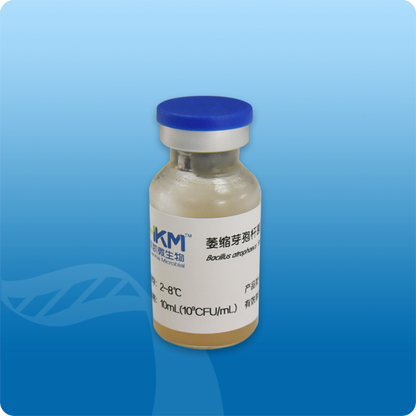 FSCC11502356 萎缩芽孢杆菌芽孢悬液ATCC9372（枯草芽孢杆菌黑色变种ATCC9372） 10mL