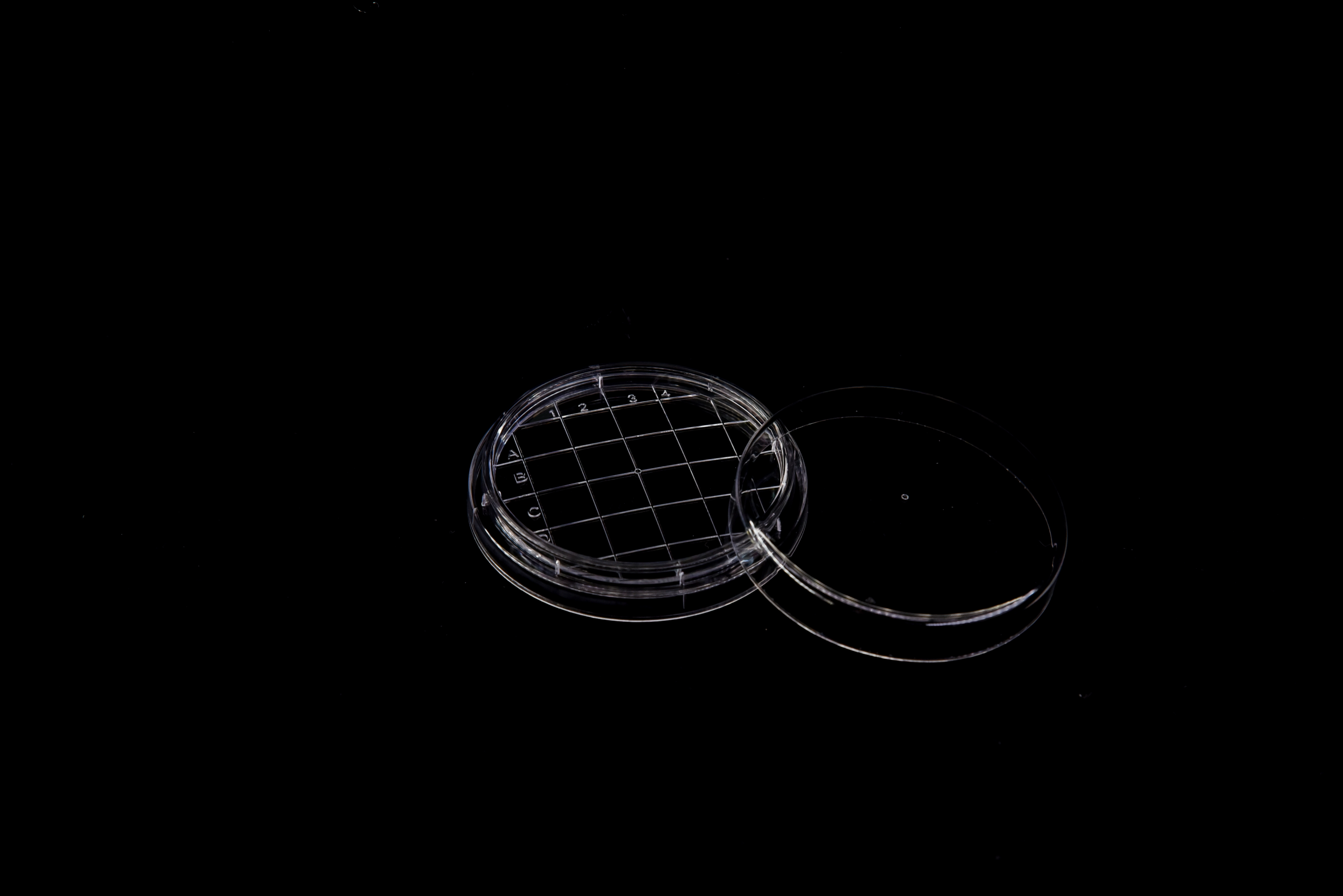 一次性无菌接触皿 5.5cm  (凸面 20×48袋 960个/箱) - 产品主图6