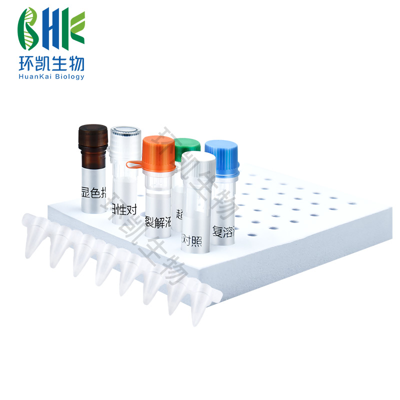 KJD04L 金黄色葡萄球菌核酸快速检测试剂盒(恒温荧光法) 24test - 产品主图5