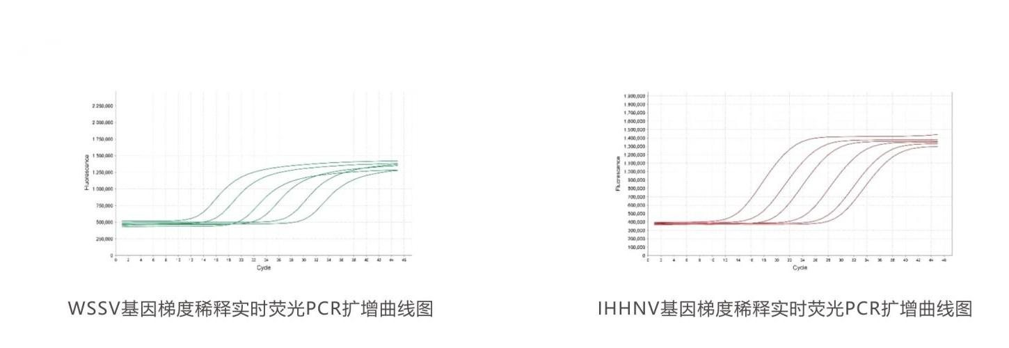 实时荧光PCR检测试剂盒结果判读 实时荧光PCR检测试剂盒结果判读