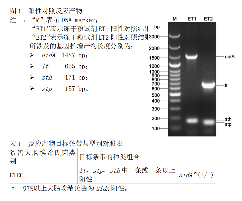 ETEC多重PCR检测试剂盒结果判读 ETEC多重PCR检测试剂盒结果判读