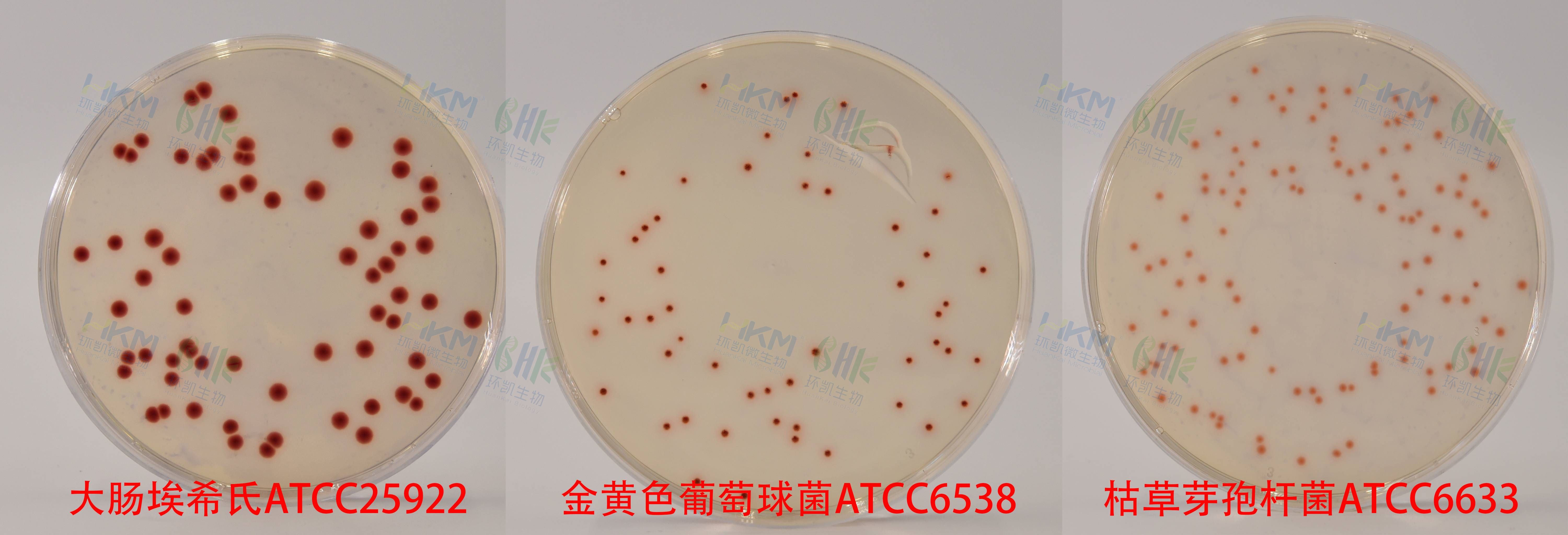 027020 卵磷脂吐温80营养琼脂培养基 质量控制