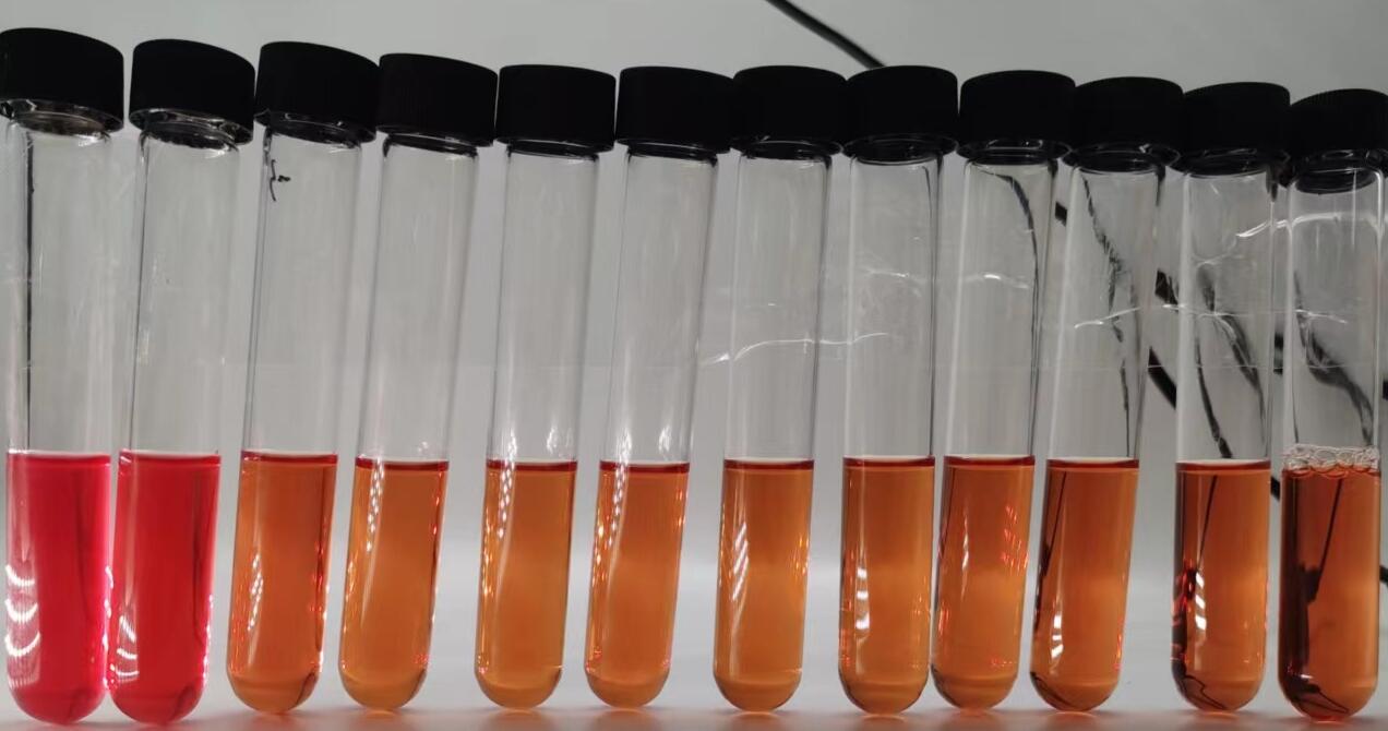 精氨酸支原体肉汤培养基(管型) 8mL×20管