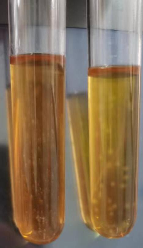 支原体半流体培养基(管型) 8mL×20管