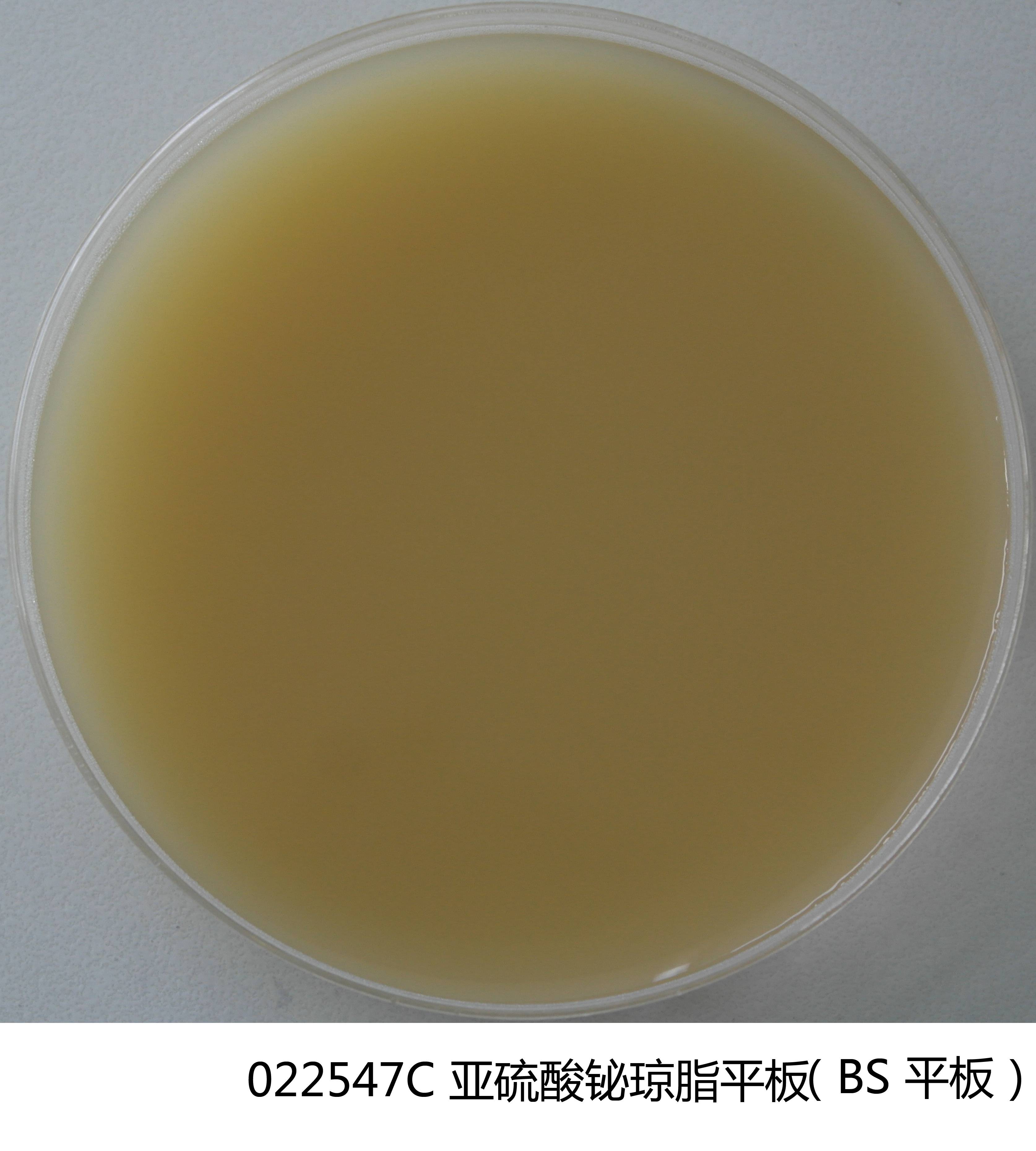 022547C 亚硫酸铋琼脂(BS)平板 90mm×20个 - 产品主图1