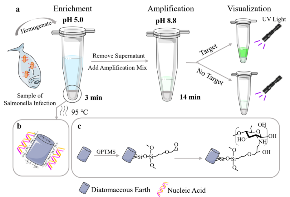 图 1 检测原理图