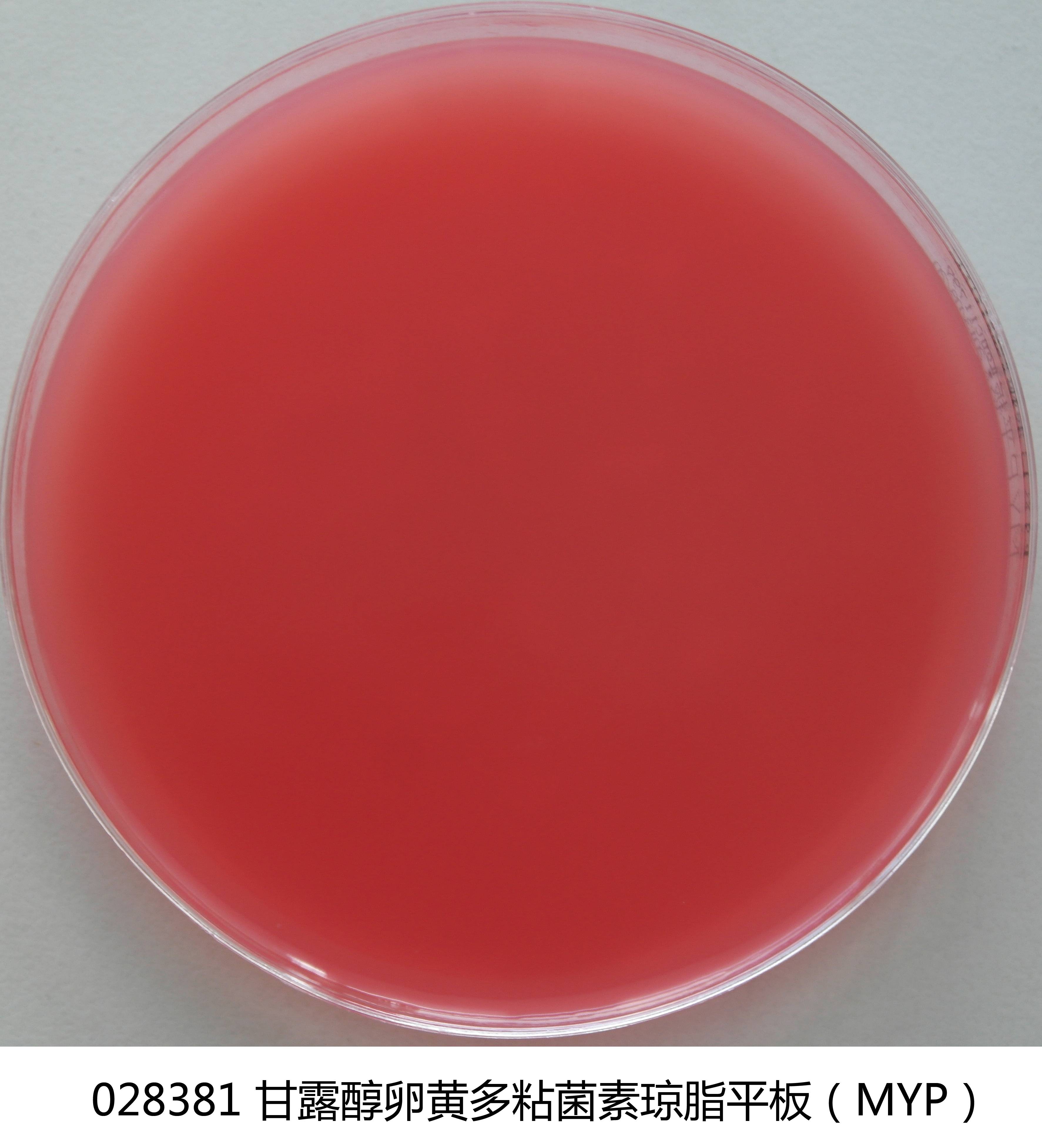 MYP琼脂平板培养基 MYP琼脂平板培养基