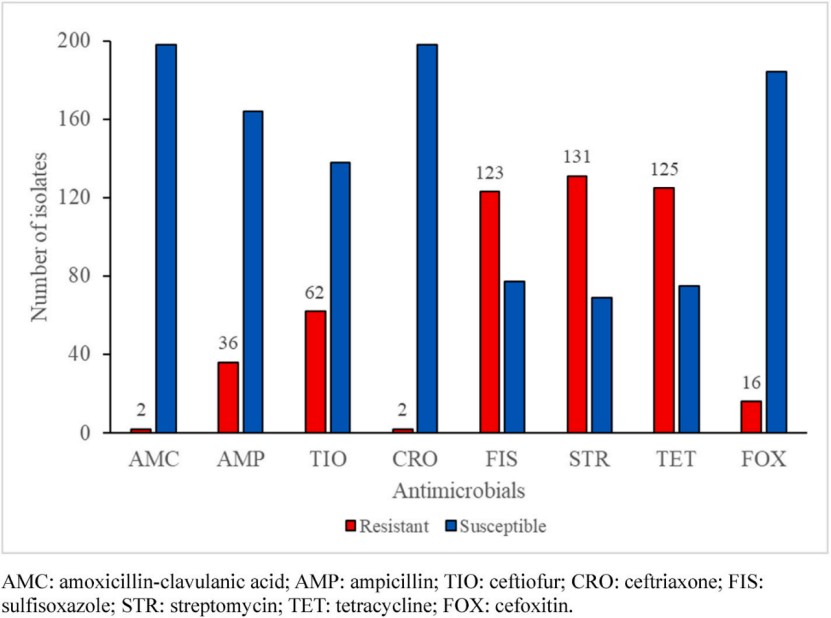 所建立的机器学习模型给出的200株沙门氏菌中AMR流行率统计结果