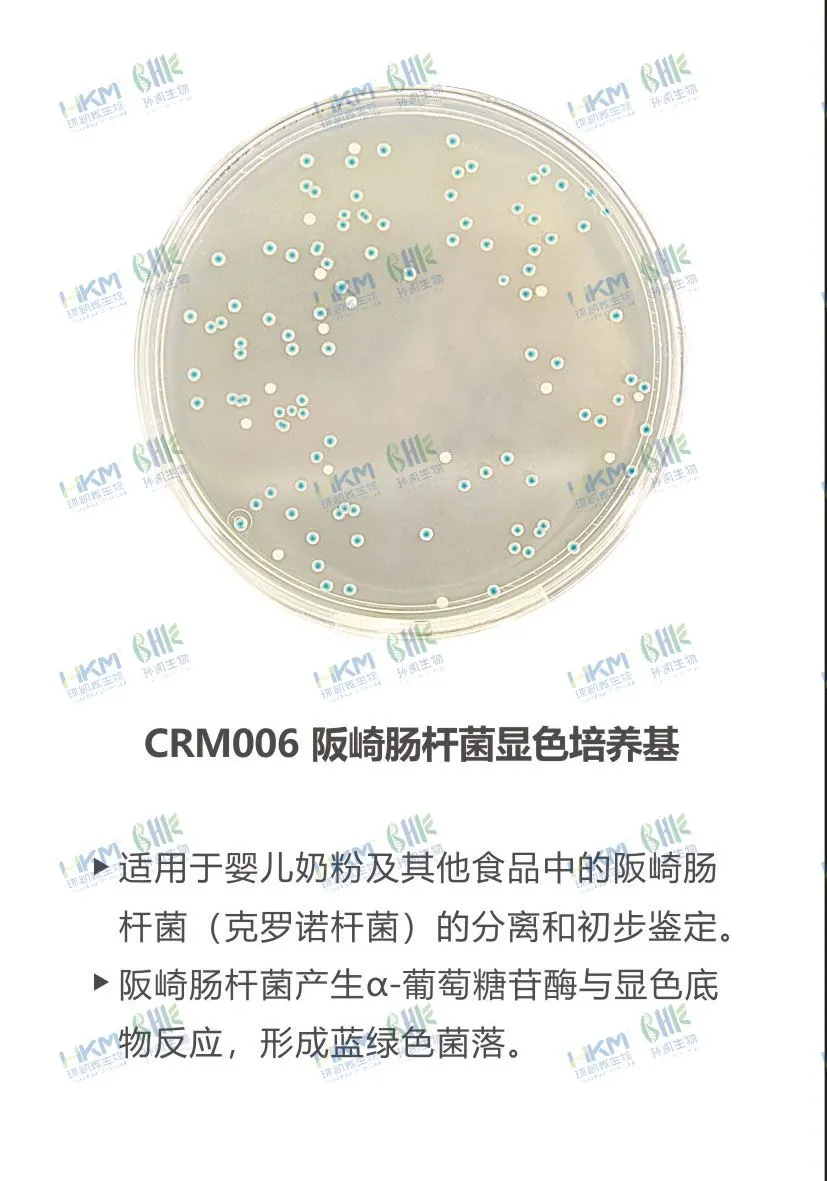 CRM006 阪崎肠杆菌显色培养基