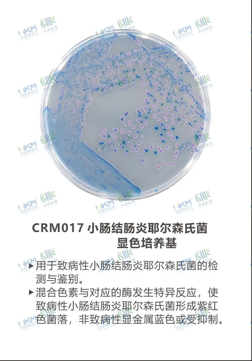 CRM017 小肠结肠炎耶尔森氏菌显色培养基