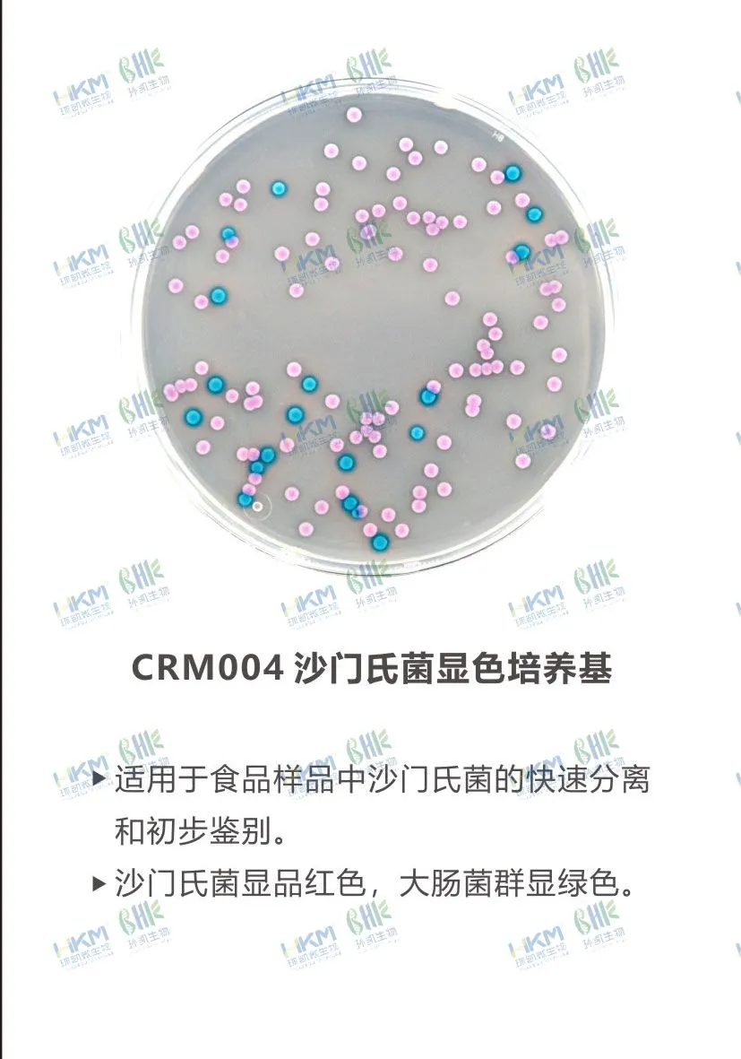 CRM004 沙门氏菌显色培养基