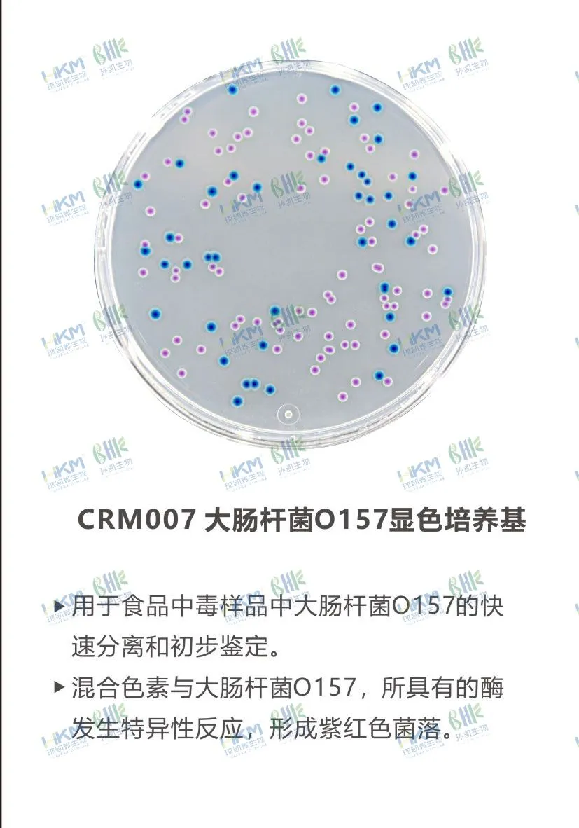 CRM007 大肠杆菌O157显色培养基