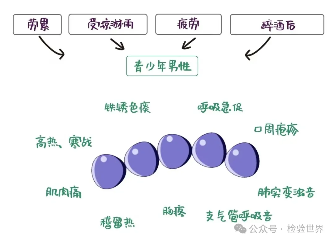 肺炎链球菌传播与并发症