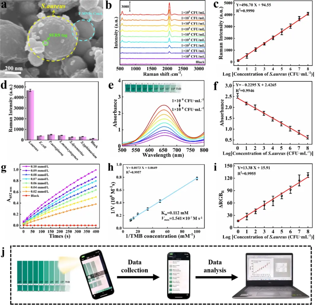 智能手机集成与现场检测