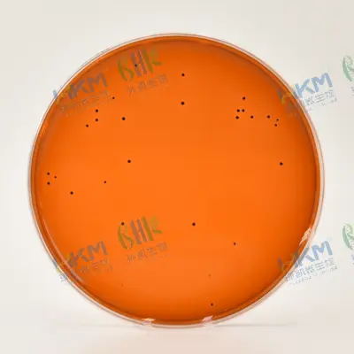 伊红美蓝琼脂（EMB）