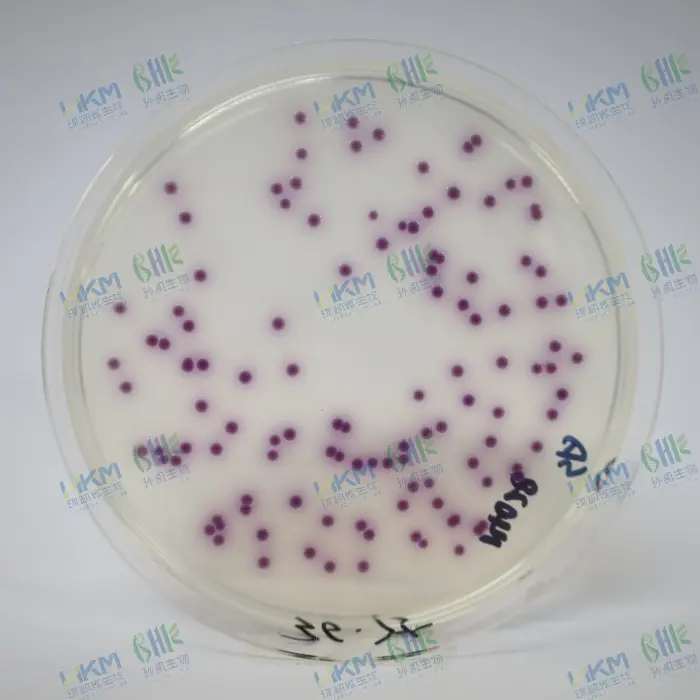 沙门氏菌显色培养基