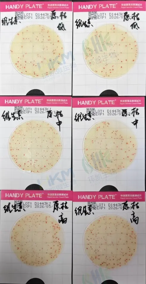 测试片 — 枯草芽孢杆菌ATCC6633 测试片 — 枯草芽孢杆菌ATCC6633