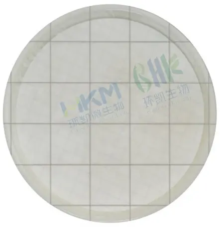 滤膜法培养前  滤膜法培养前