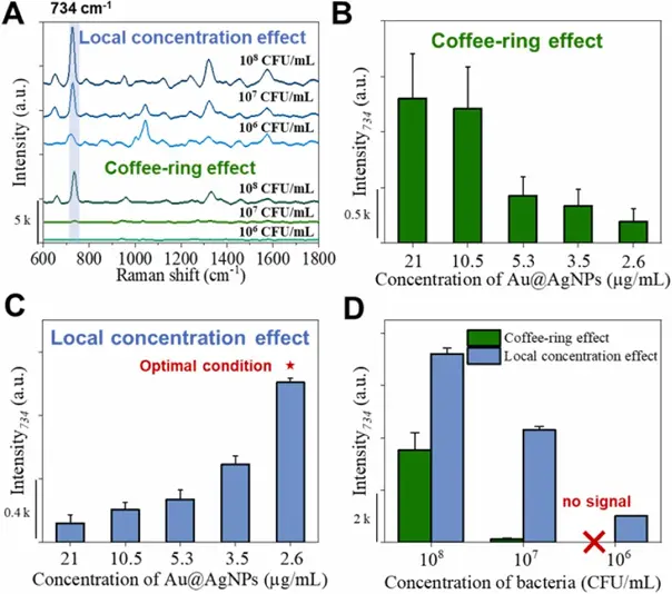 咖啡环效应和局部浓度效应下不同PNs配比的SERS活性优化