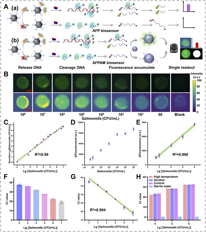 AFPAM生物传感器分析性能图