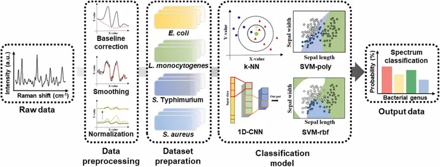 数据预处理流程图，数据集准备，机器学习分类模型。