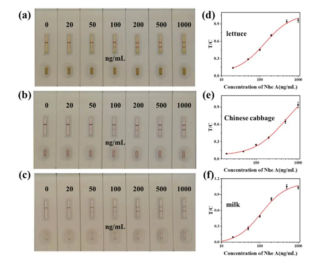 不同食品基质中 LFIA 的性能评估