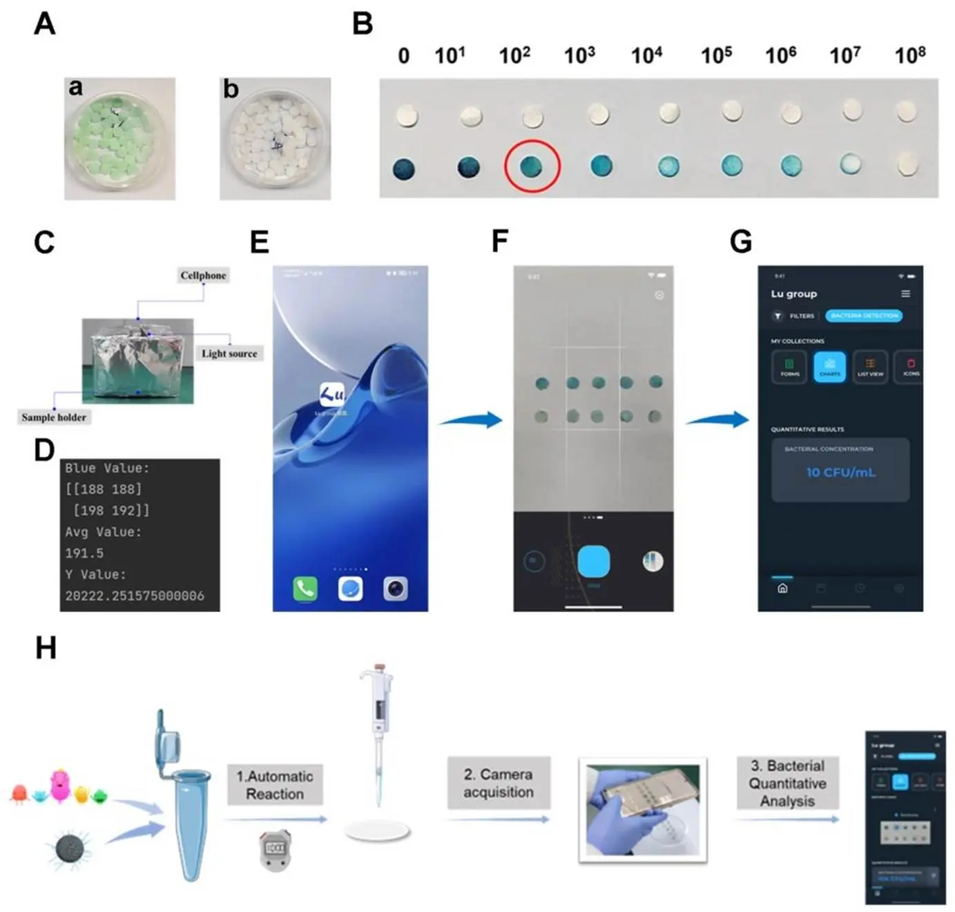 介绍基于 MDC@N-MMCNs 的纸基传感器应用