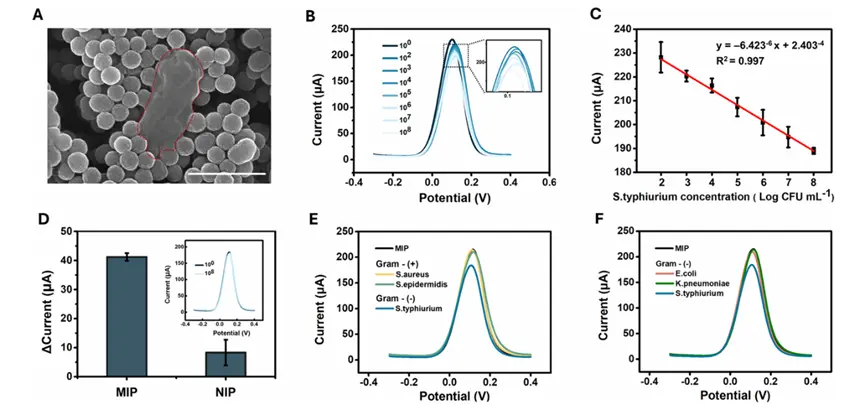 SL-MIP对沙门氏菌的检测表现