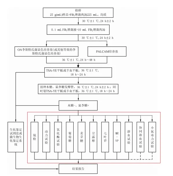 第一法检验程序