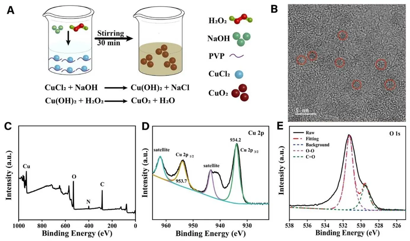 展示CuO2 合成过程及相关表征，证明其成功制备