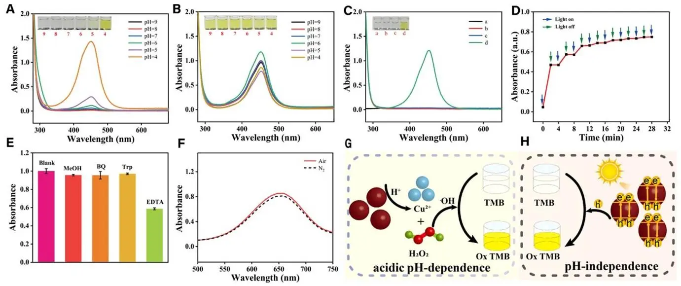 探究 pH 对CuO2酶活性影响及光响应氧化酶活性机制。