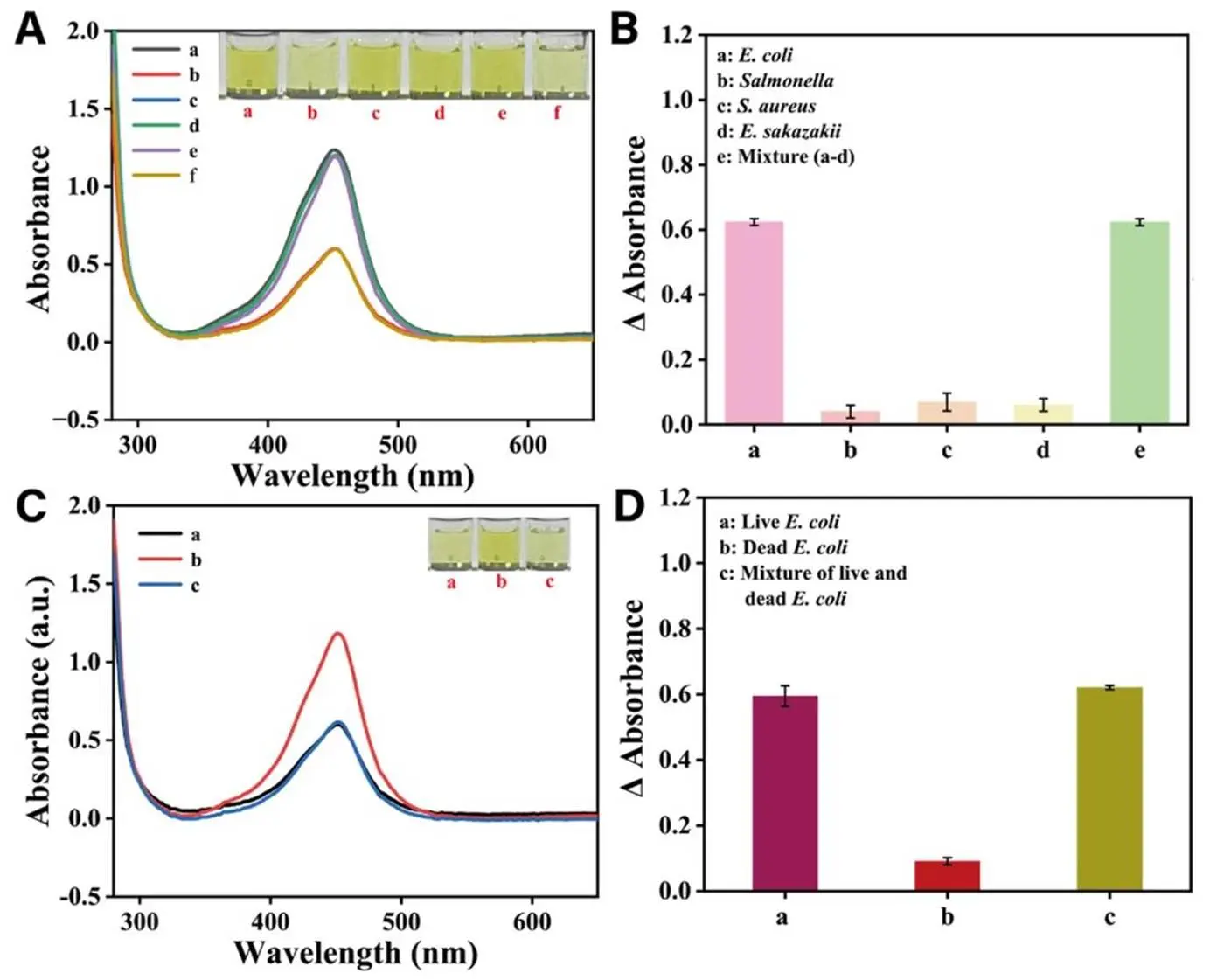 评估生物传感器检测大肠杆菌的特异性及区分活死菌能力