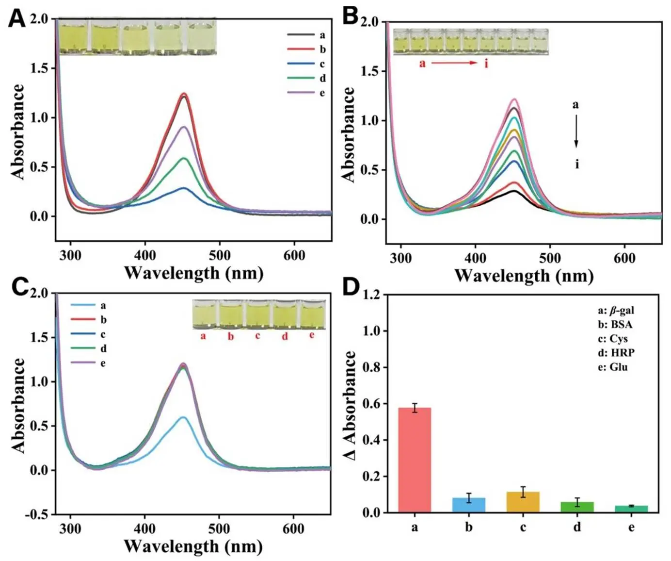 研究β−gal/CuO2 级联反应检测大肠杆菌的可行性与选择性