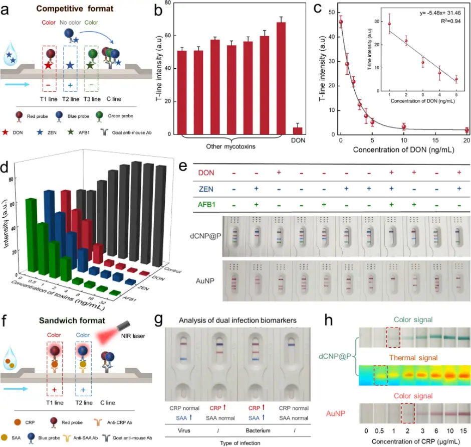 使用彩色 dCNPs@P 的竞争式和夹心式 mLFAs