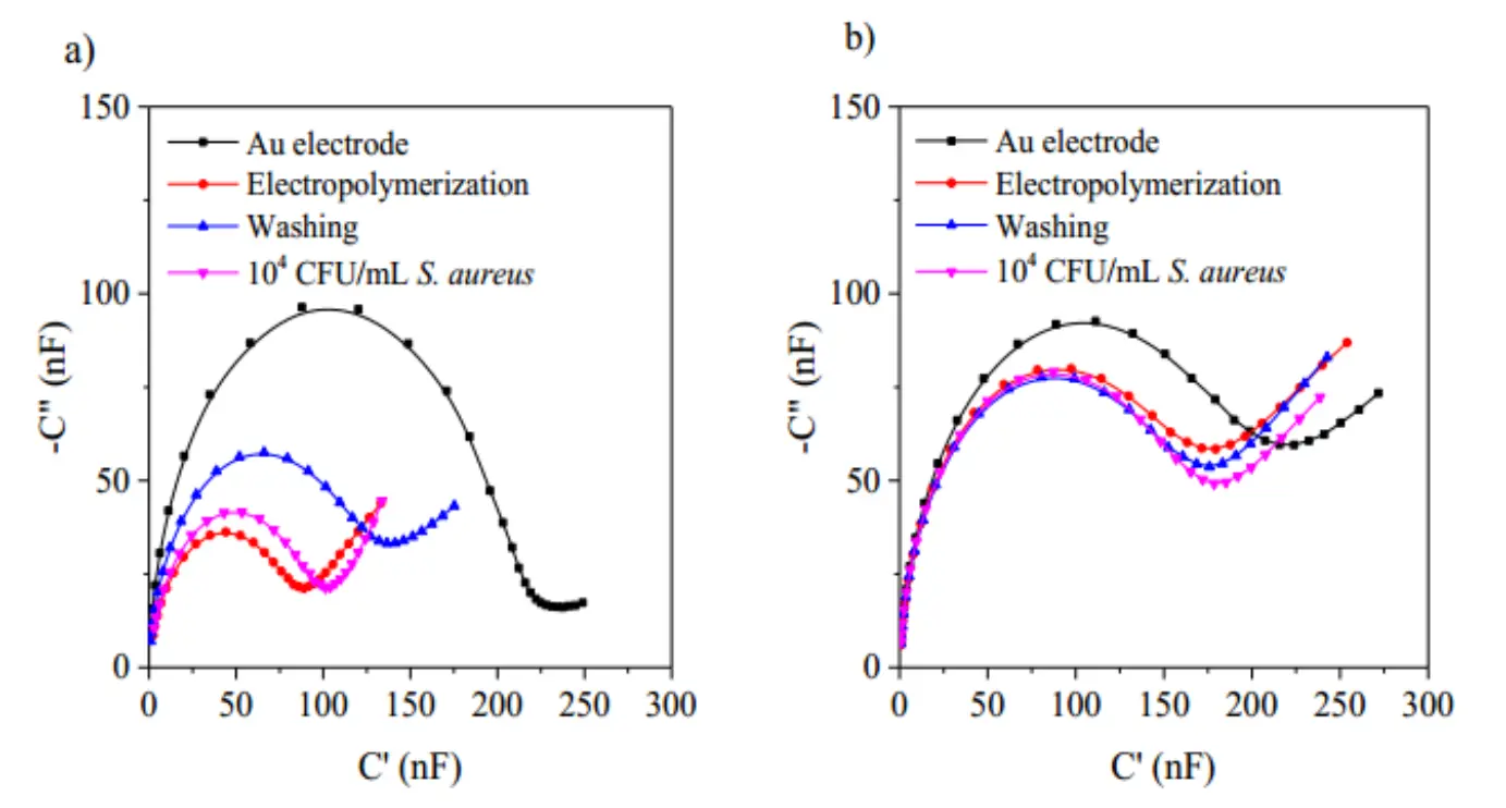 以 Cole-Cole 图呈现 S. aureus 的 Apta-MIP 和 NIP 传感器在制备过程各关键步骤(如适配体 - 细菌固定、多巴胺聚合、模板去除、细菌重结合)下电极电容的变化，辅助理解传感器工作原理