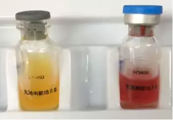 乳糖明胶生化管