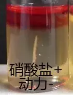 缓冲动力硝酸盐实验