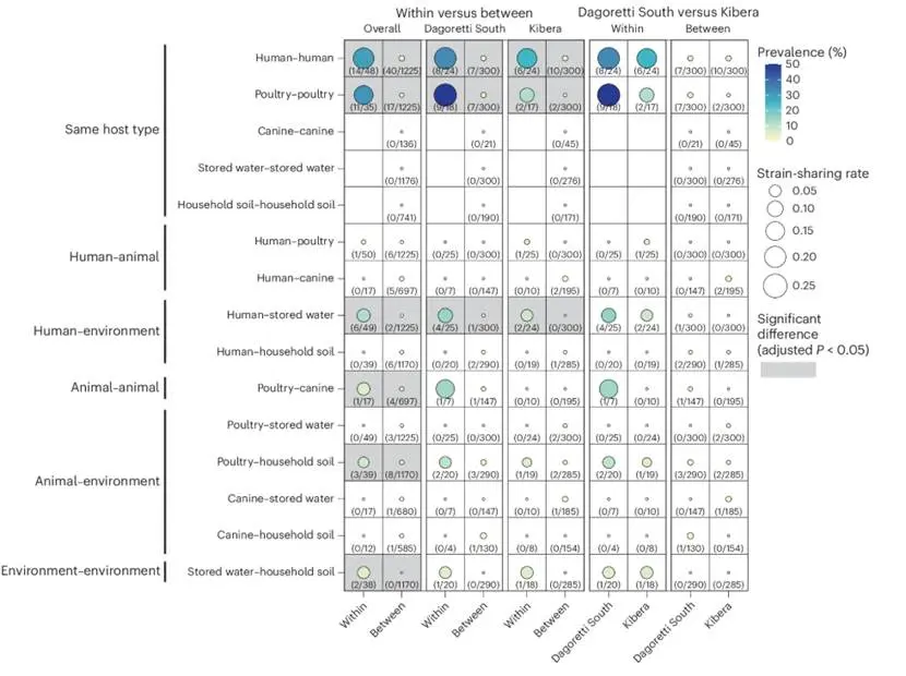 图2 家庭内部和家庭之间的菌株共享模式