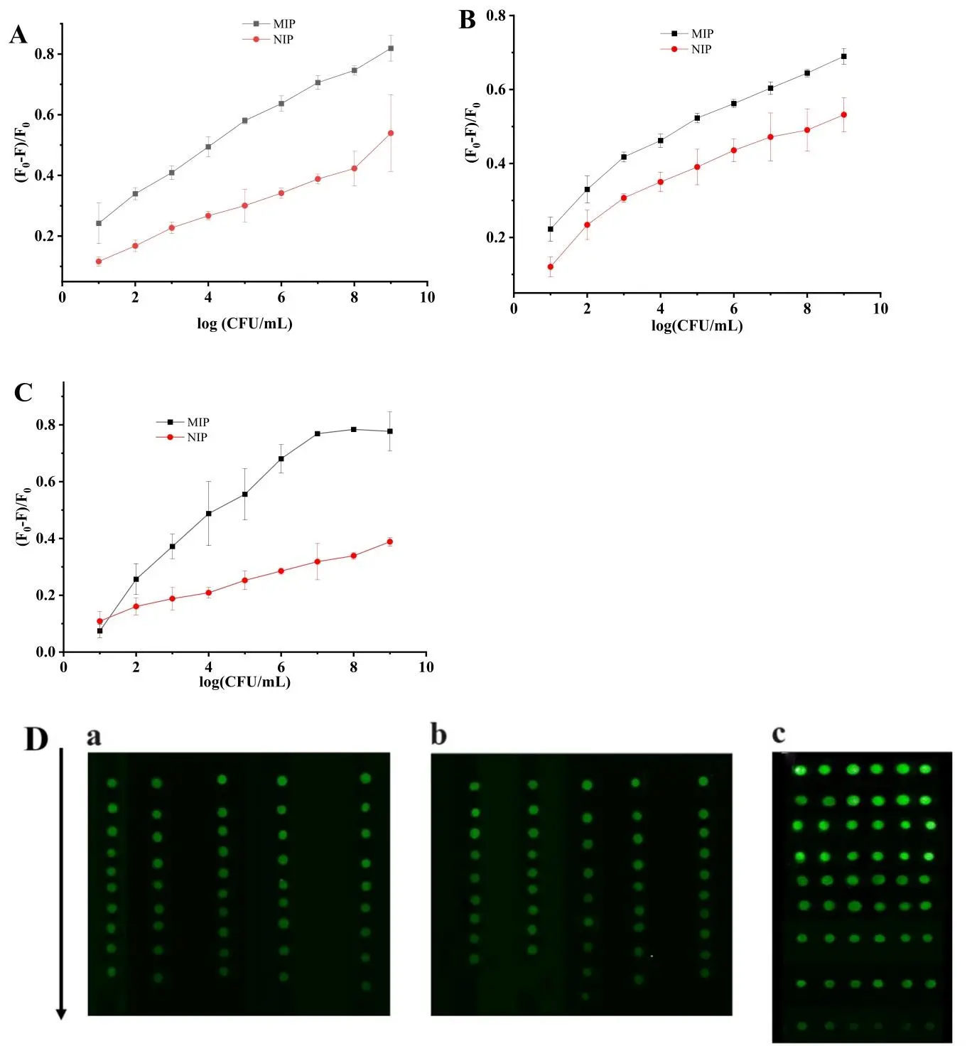 反映荧光信号与目标细菌病原体浓度的关系，包括校准曲线、检测线性范围及荧光图像