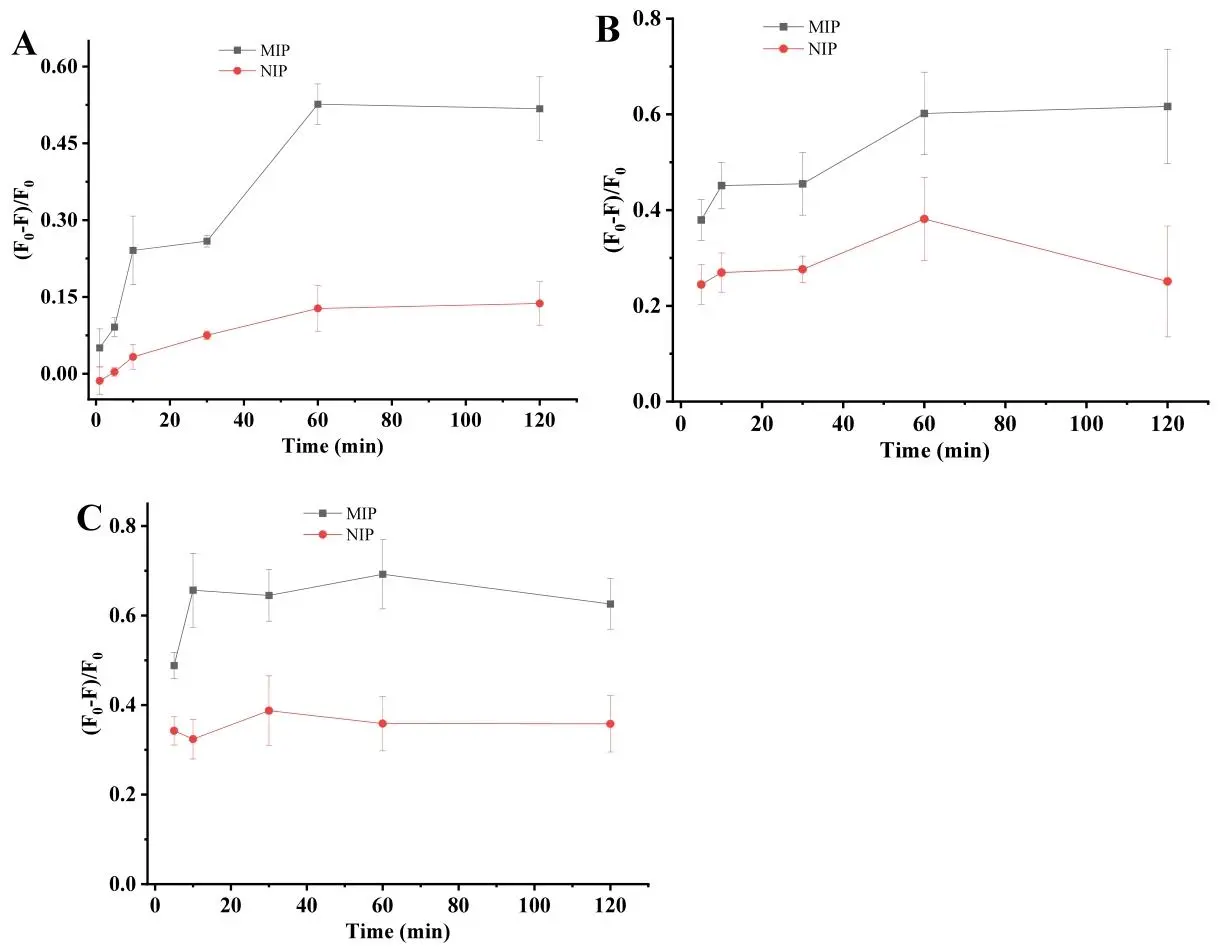 呈现 MIP 和 NIP FPMs 与目标细菌病原体的结合动力学关系，显示荧光信号随时间变化情况