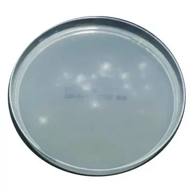 图 3a -培养皿 - 曲霉菌