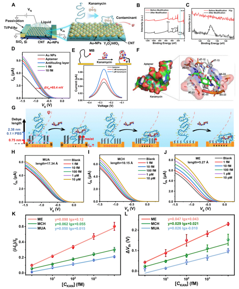 传感机制以及小分子阻断剂的长度对 Apt-CNT-FET 生物传感器性能的影响