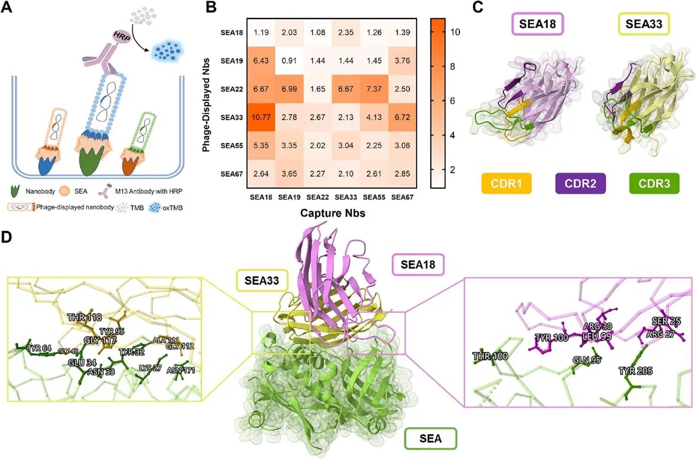 三明治免疫分析中最佳检测和捕获纳米体的选择