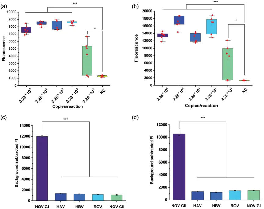 逆转录环介导等温扩增（RT-LAMP）/CRISPR/Cas12a 的特异性和灵敏度
