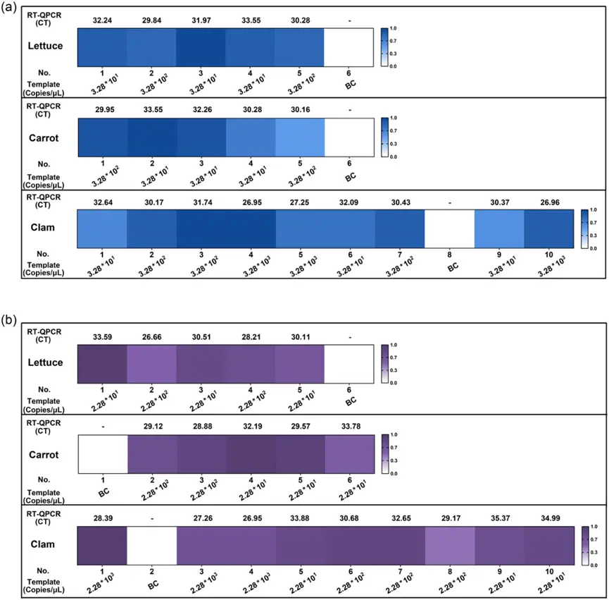 逆转录环介导等温扩增（RT-LAMP）/ CRISPR/Cas12a 检测人工污染食品样本的结果