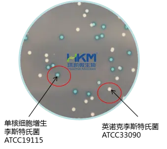 单核细胞增生李斯特氏菌