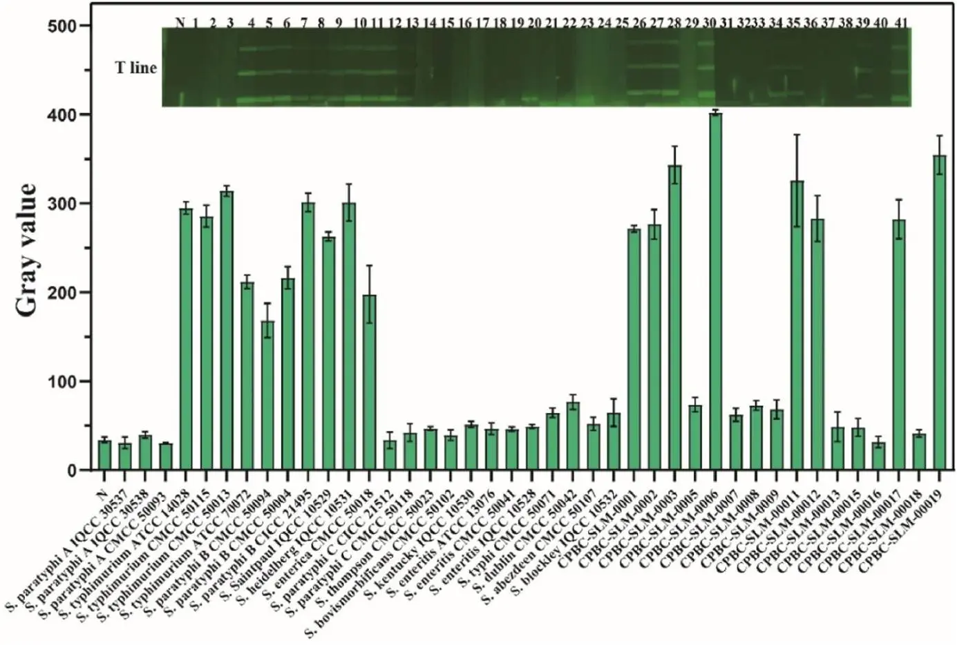 多线ICTS传感器对41株沙门氏菌的广谱检测
