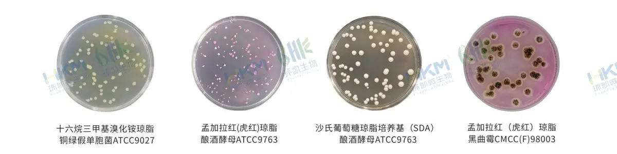 化妆品防腐挑战测试系列产品