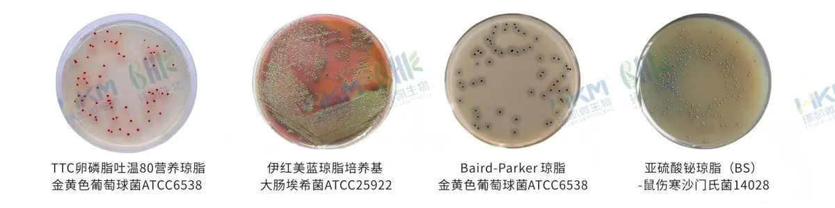 化妆品安全技术规范系列产品