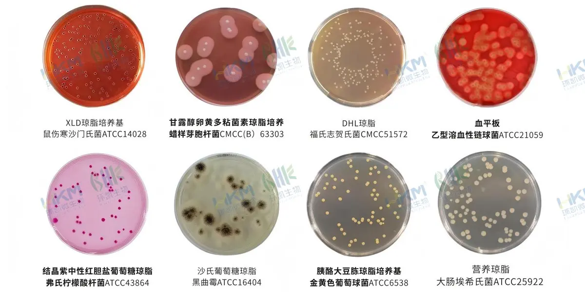 SN/T2206化妆品微生物检验系列产品
